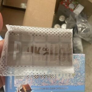 Polkadot Mushroom Belgian Chocolate Bar